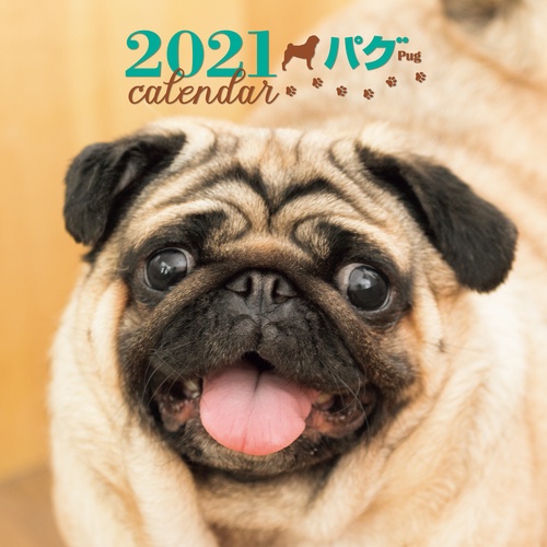 2021年 大判カレンダー パグ