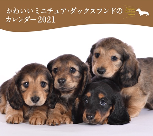 2021年 ミニ判カレンダー かわいいミニチュア・ダックスフンドのカレンダー