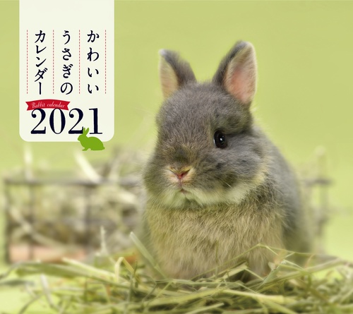 2021年 ミニ判カレンダー かわいいうさぎのカレンダー