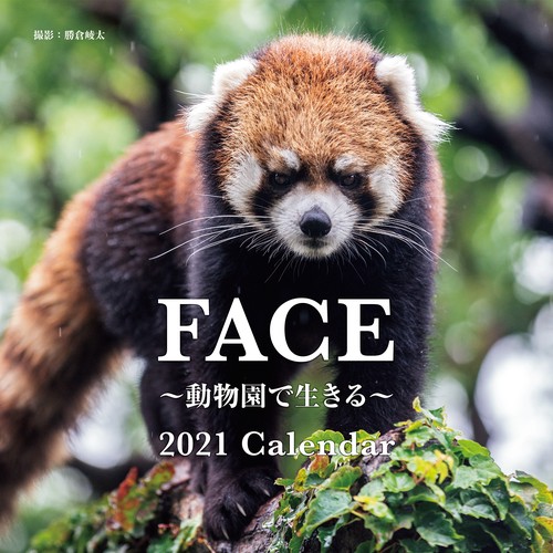 2021年 大判カレンダー FACE 動物園で生きる 2021 Calendar