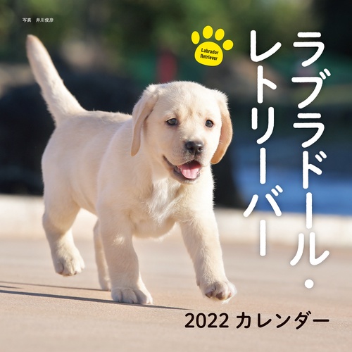 2022年 カレンダー ラブラドール・レトリーバー