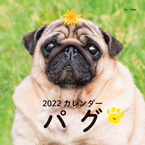 2022年 カレンダー パグ