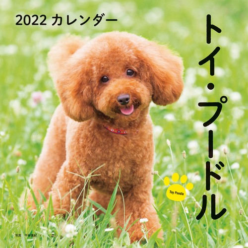 2022年 カレンダー トイ・プードル