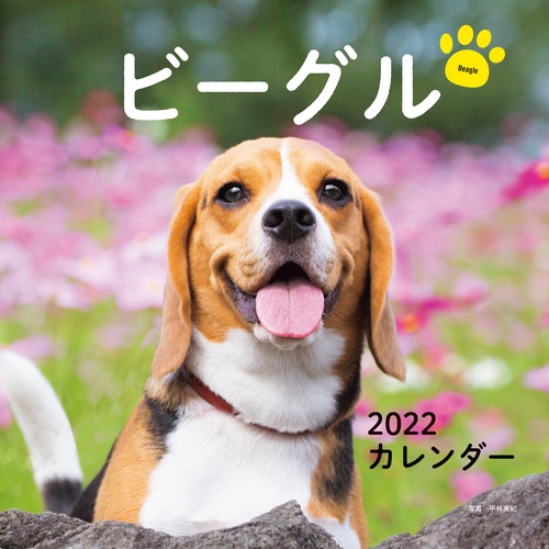 2022年 カレンダー ビーグル