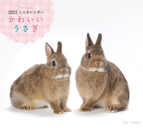 2022年 カレンダー かわいいうさぎカレンダ