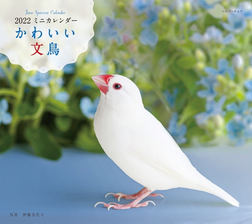 2022年 カレンダー かわいい文鳥