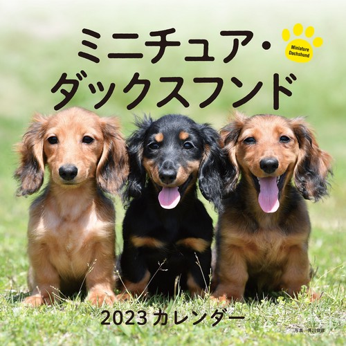 2023年カレンダー ミニチュア・ダックスフンド