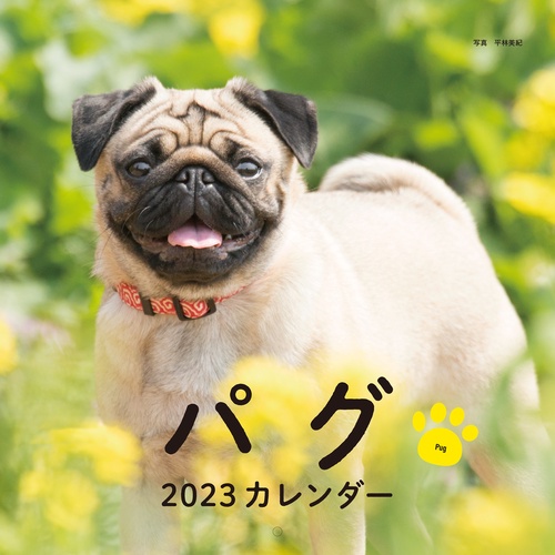 2023年カレンダー パグ