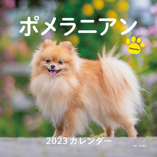 2023年カレンダー ポメラニアン