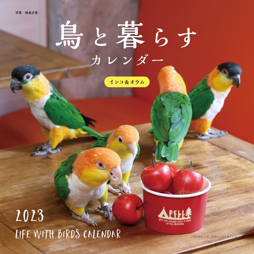 2023年カレンダー 鳥と暮らす  インコ＆オウム