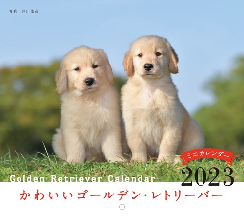 2023年カレンダー かわいいゴールデン・レトリーバー