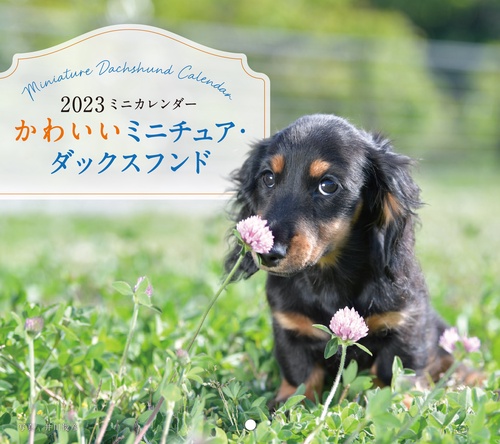 2023年カレンダー かわいいミニチュア・ダックスフンド