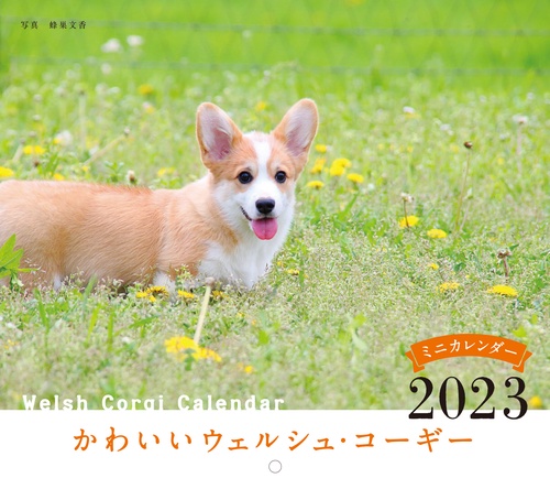 2023年カレンダー かわいいウェルシュ・コーギー