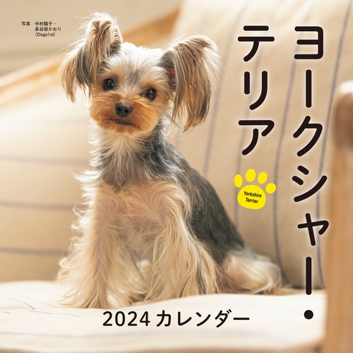 2024年カレンダー ヨークシャー・テリア