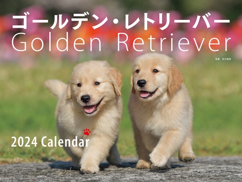 2024年カレンダー ワイド判 ゴールデン・レトリーバー