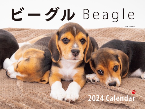 2024年カレンダー ワイド判 ビーグル