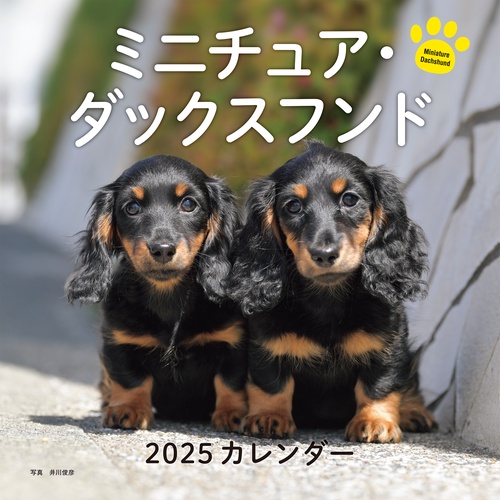 2025年カレンダー ミニチュア・ダックスフンド
