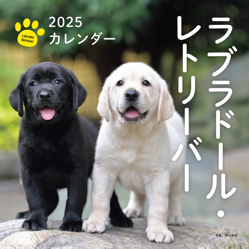 2025年カレンダー ラブラドール・レトリーバー