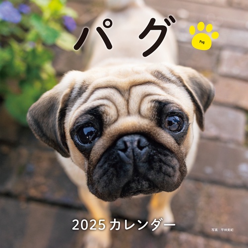 2025年カレンダー パグ