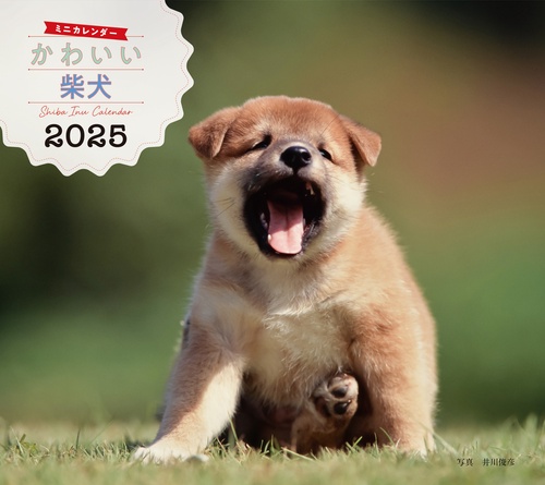 2025年カレンダー かわいい柴犬