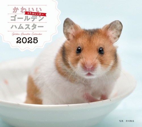2025年カレンダー かわいいゴールデンハムスター