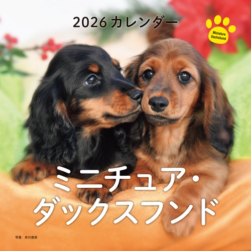 2026年カレンダー ミニチュア・ダックスフンド