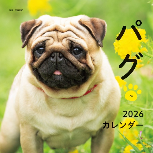 2026年カレンダー パグ