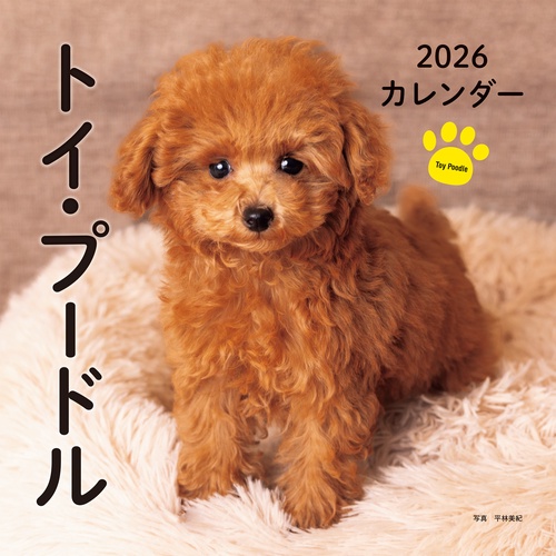 2026年カレンダー トイ・プードル