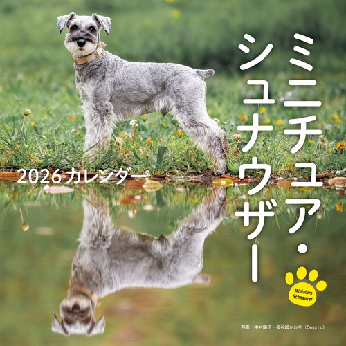 2026年カレンダー ミニチュア・シュナウザー