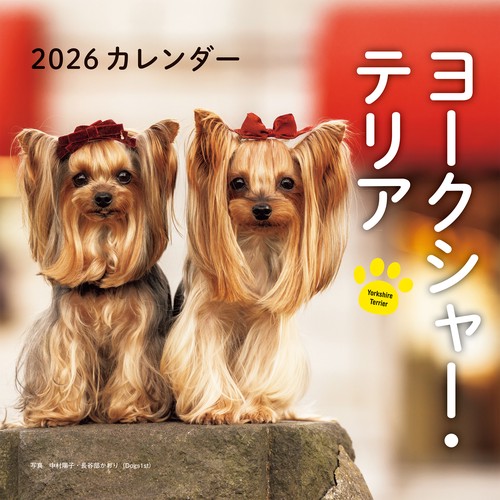 2026年カレンダー ヨークシャー・テリア