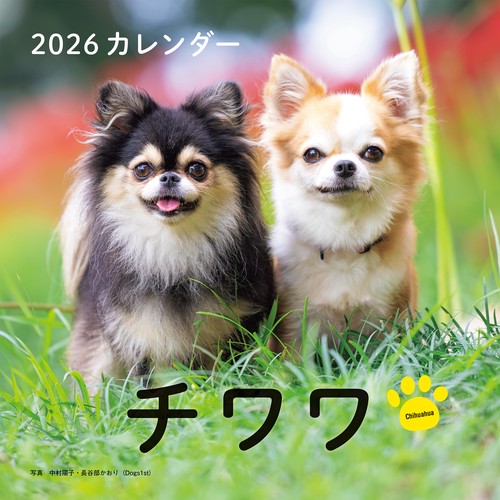 2026年カレンダー チワワ