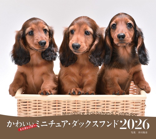 2026年カレンダー かわいいミニチュア・ダックスフンド