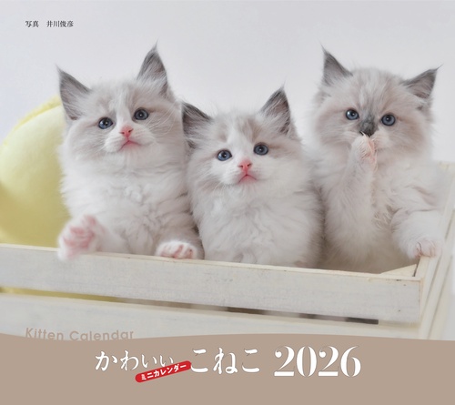 2026年カレンダー かわいいこねこ