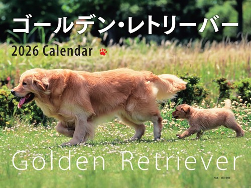 2026年カレンダー ワイド判 ゴールデン・レトリーバー