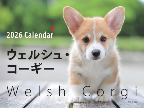 2026年カレンダー ワイド判 ウェルシュ・コーギー