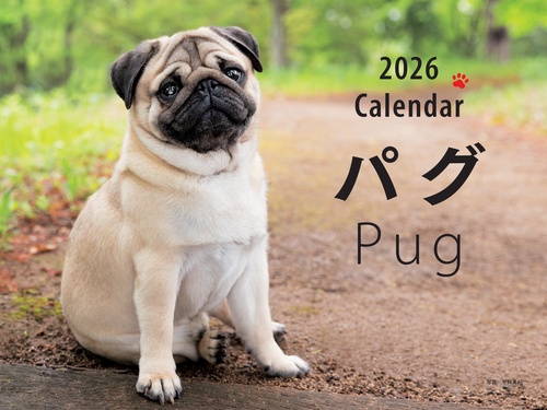 2026年カレンダー ワイド判 パグ