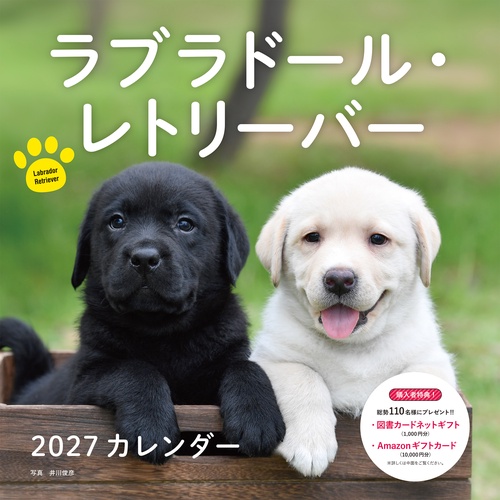 2027年カレンダー ラブラドール・レトリーバー