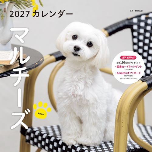 2027年カレンダー マルチーズ