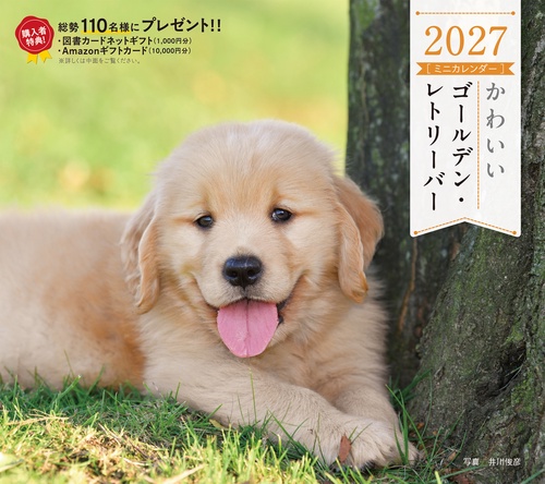 2027年カレンダー かわいいゴールデン・レトリーバー