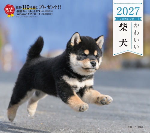 2027年カレンダー かわいい柴犬