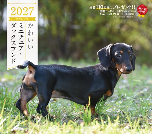 2027年カレンダー かわいいミニチュア・ダックスフンド