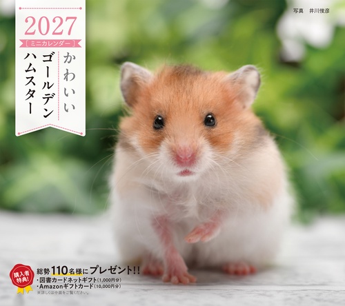 2027年カレンダー かわいいゴールデンハムスター