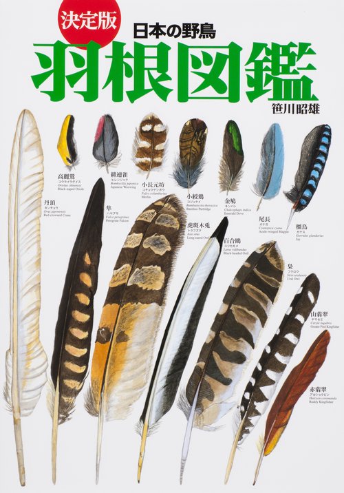 日本の野鳥羽根図鑑 決定版