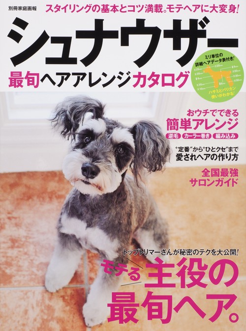 シュナウザー最旬ヘアアレンジカタログ モテヘアに大変身!