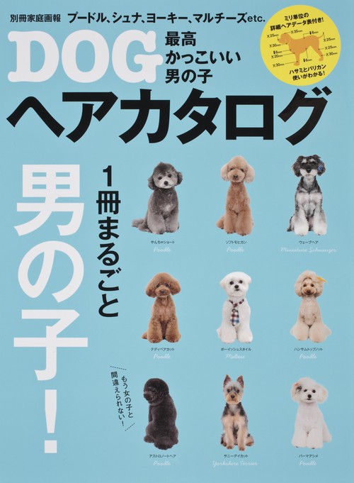 最高かっこいい男の子DOGヘアカタログ