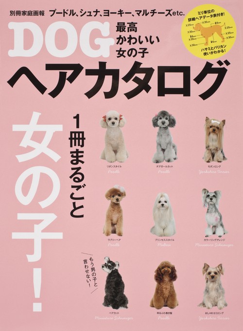 最高かわいい女の子DOGヘアカタログ