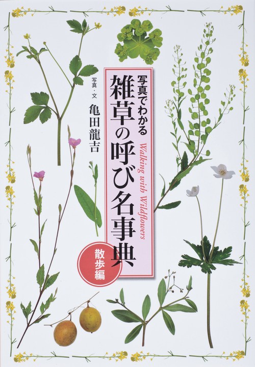 雑草の呼び名事典 写真でわかる 散歩編 Walking with Wildflowers