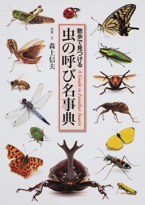 虫の呼び名事典 散歩で見つける