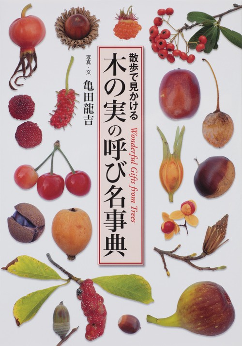 木の実の呼び名事典 散歩で見かける Wonderful Gifts from Trees