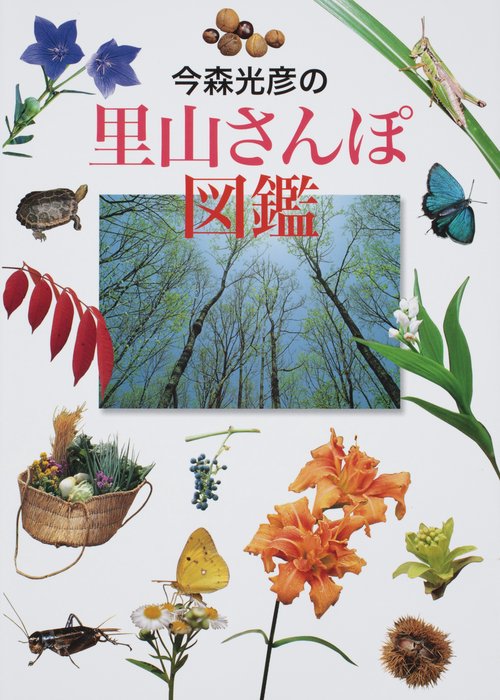 今森光彦の里山さんぽ図鑑